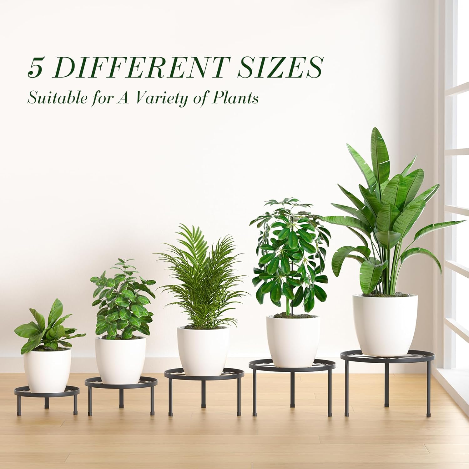 Metal Plant Stands for Indoor Outdoor Plants stand  pack of 5
